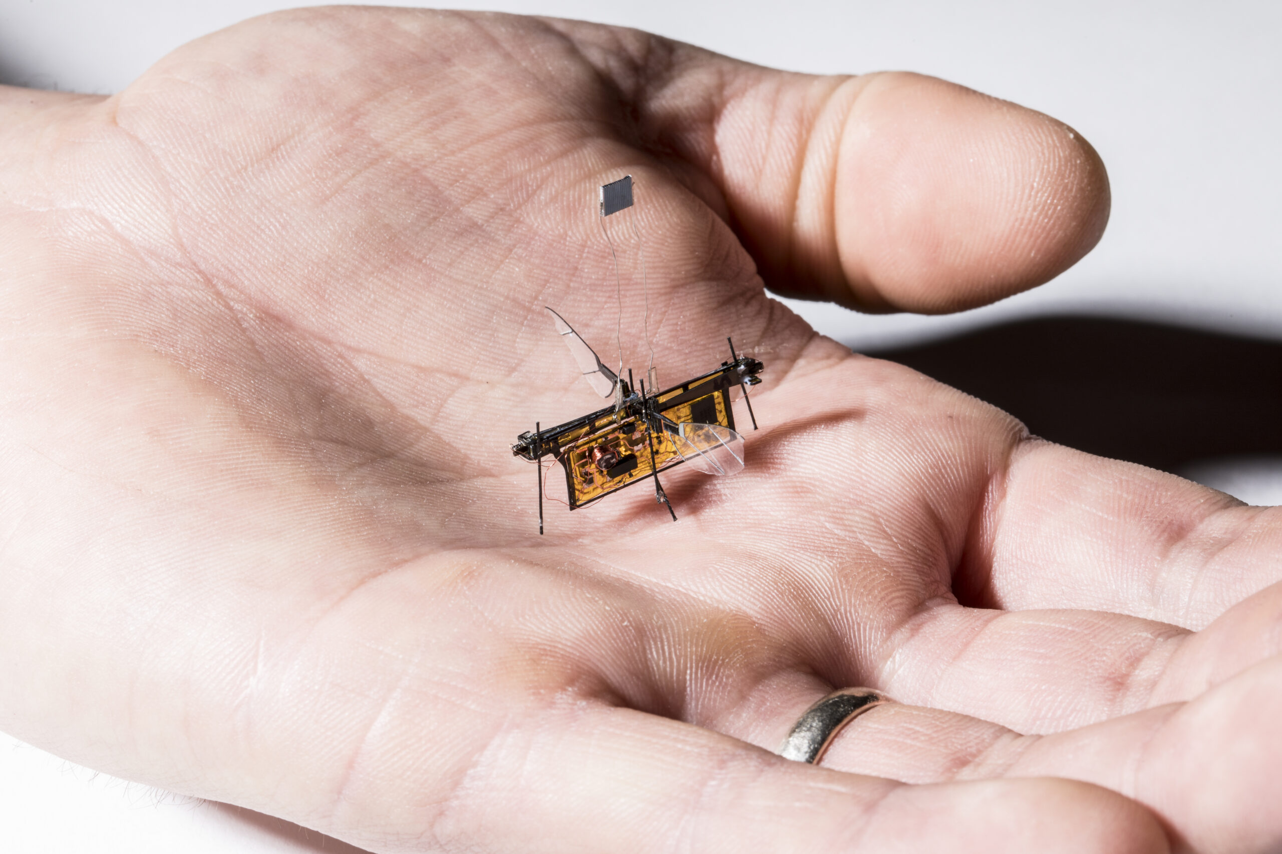 engineering careers  Five of the world’s tiniest robots