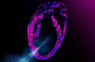 engineering careers Ultrasound Wearable Pacemaker Developed by MIT Engineers