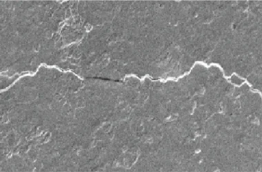 engineering careers Solid State Battery Dendrite Mystery Solved by Max Planck
